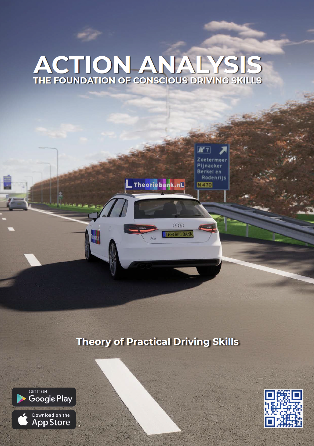 Theory of Practical Driving Skills